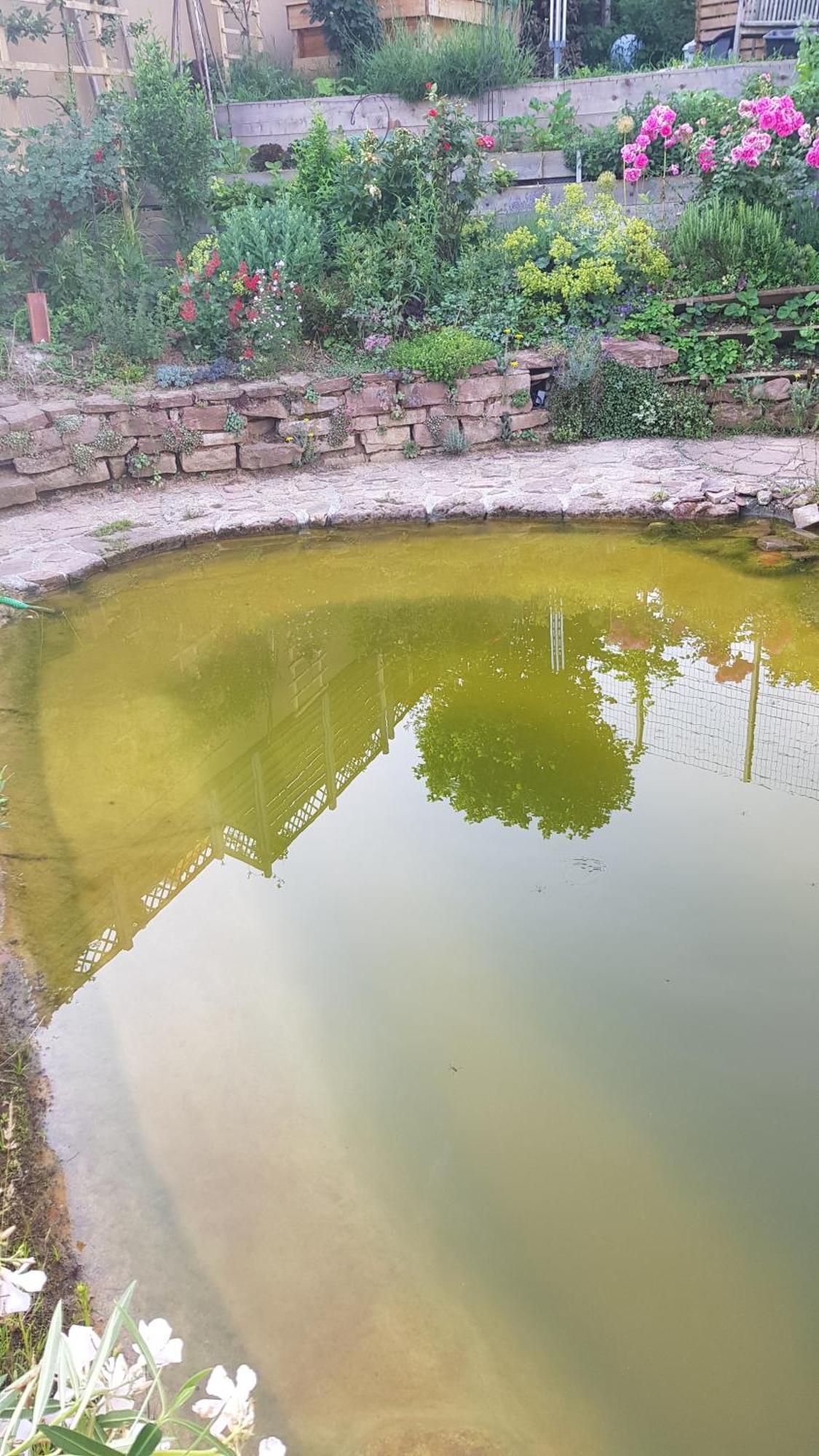 Wohnung Mit Sauna, Garten & Schwimmteich Bietigheim-Bissingen Bagian luar foto