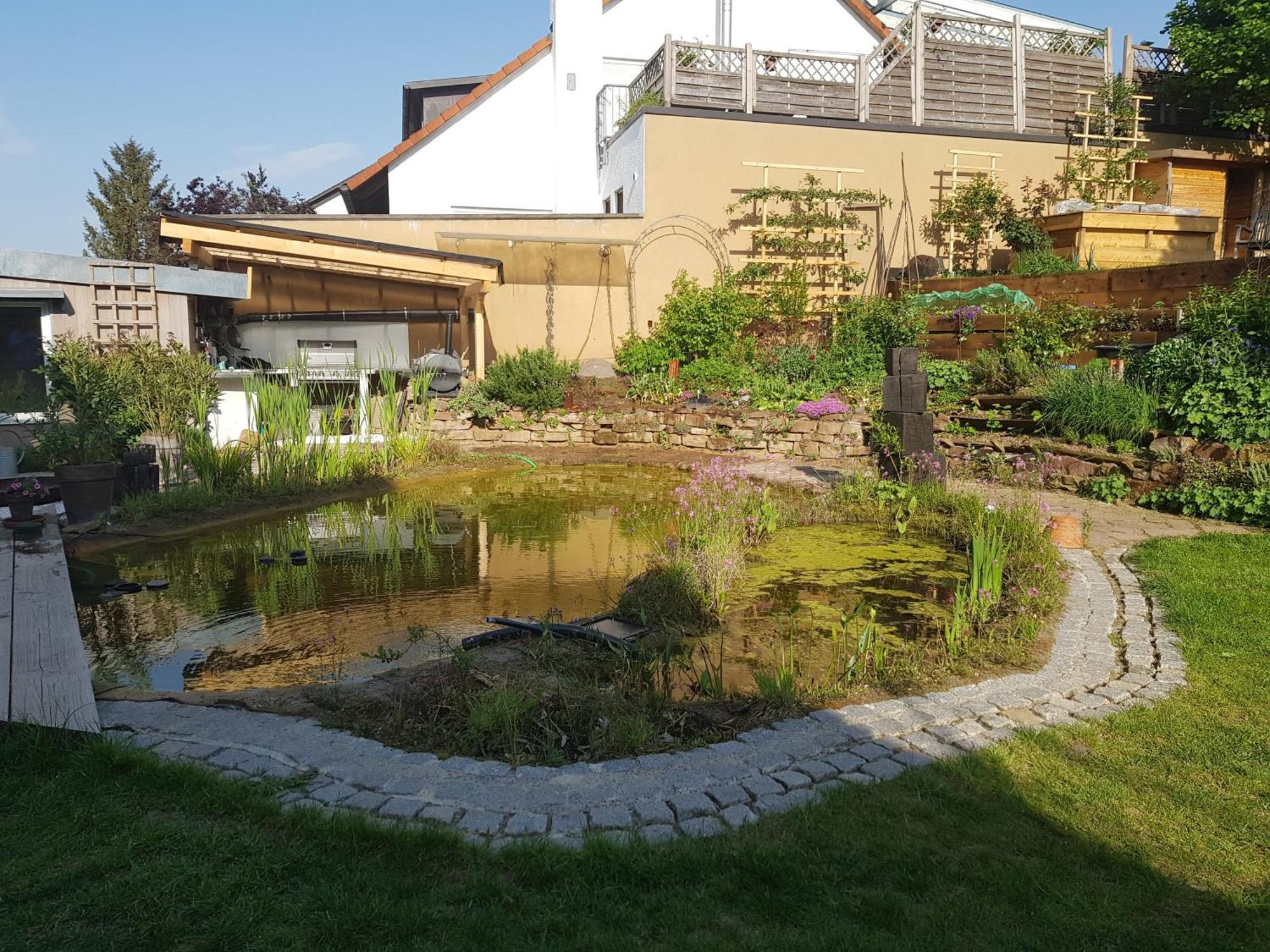 Wohnung Mit Sauna, Garten & Schwimmteich Bietigheim-Bissingen Bagian luar foto