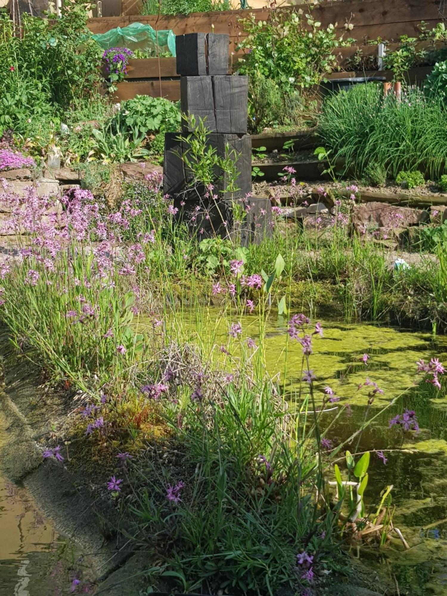 Wohnung Mit Sauna, Garten & Schwimmteich Bietigheim-Bissingen Bagian luar foto