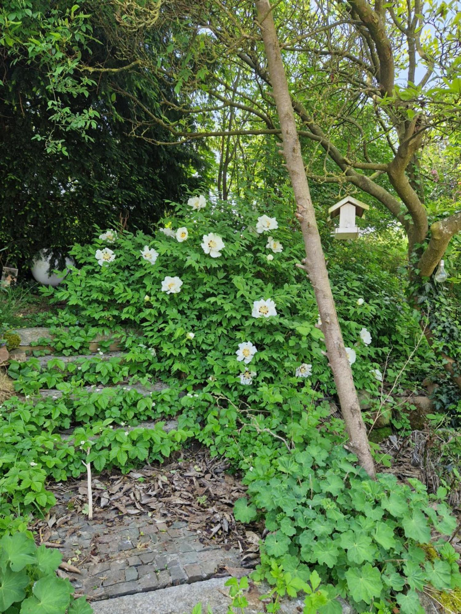 Wohnung Mit Sauna, Garten & Schwimmteich Bietigheim-Bissingen Bagian luar foto